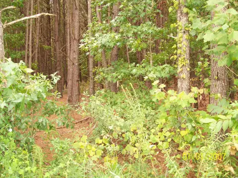 LOT 2 Riverbend Rd., Loris, SC