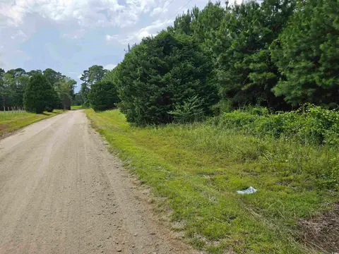 TBD 9 & 10 Powell Lane, Loris, SC