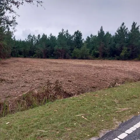 Lot 7&8 Harper Rd., Marion, SC
