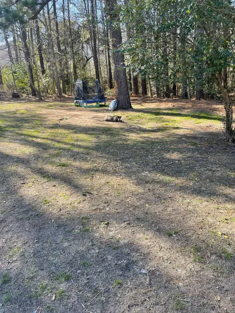 TBD Lomax Ct., Murrells Inlet, SC