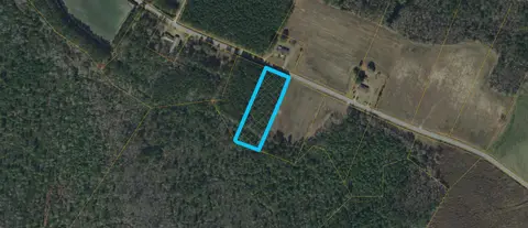 2.11 Acres Boggy Branch Rd., Nichols, SC
