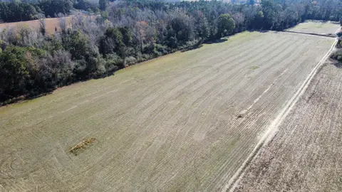 TBD Highway 917, Nichols, SC