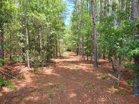 3435 Highway 430, Nichols, SC