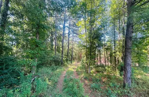 18.3 Acres - Turkey Ln, Kingstree, SC