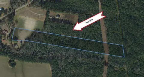 TBD U A Johnson Ln, Galivants Ferry, SC