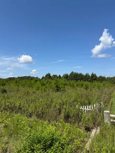 175 Dove Rd., Loris, SC