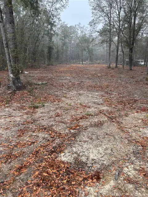 TBD Pleasantdale Rd., Nichols, SC