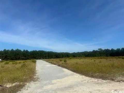 Tansy Rd., Loris, SC