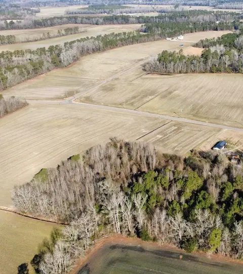 TBD Pinckney Rd., Nichols, SC