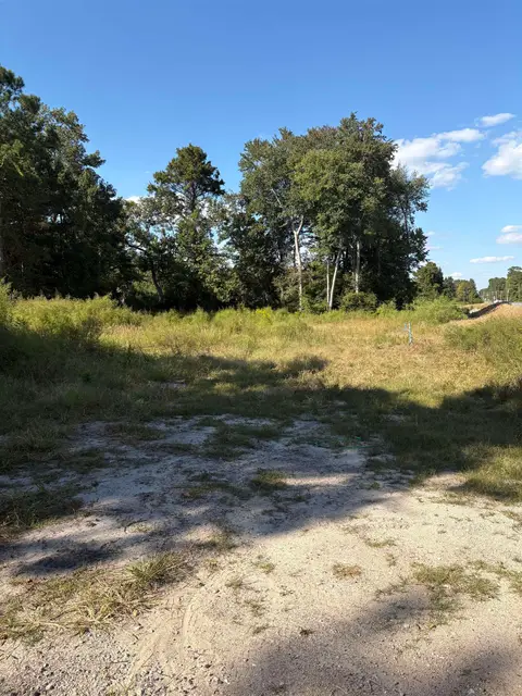 TBD Red Bluff Rd., Loris, SC