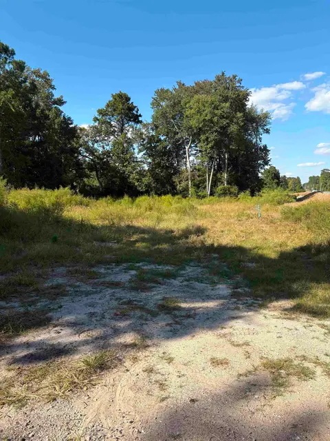 TBD Red Bluff Rd., Loris, SC