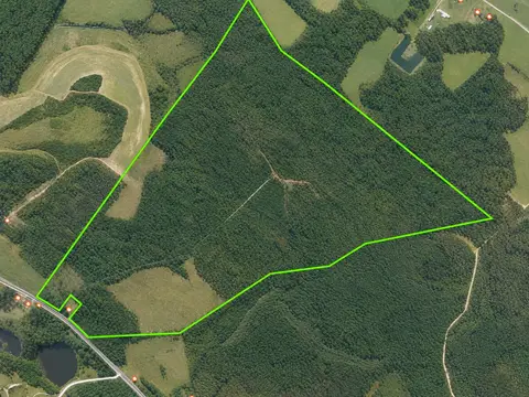228.79 Acres Back Swamp Rd, Lynchburg, SC