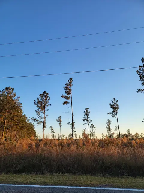 630 Hulls Island Rd., Loris, SC